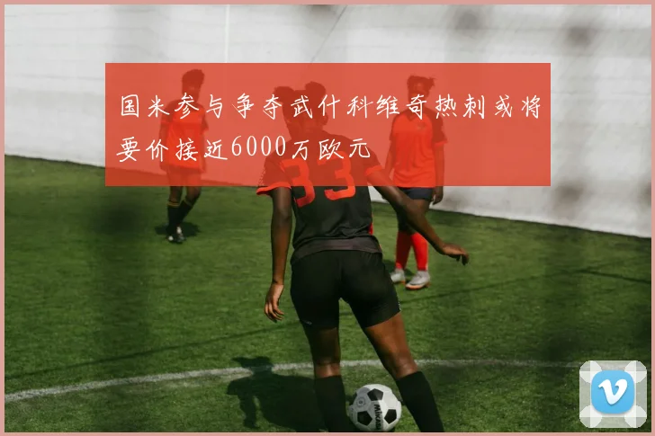 国米参与争夺武什科维奇热刺或将要价接近6000万欧元